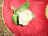 Antik Herendi porcelán rózsa